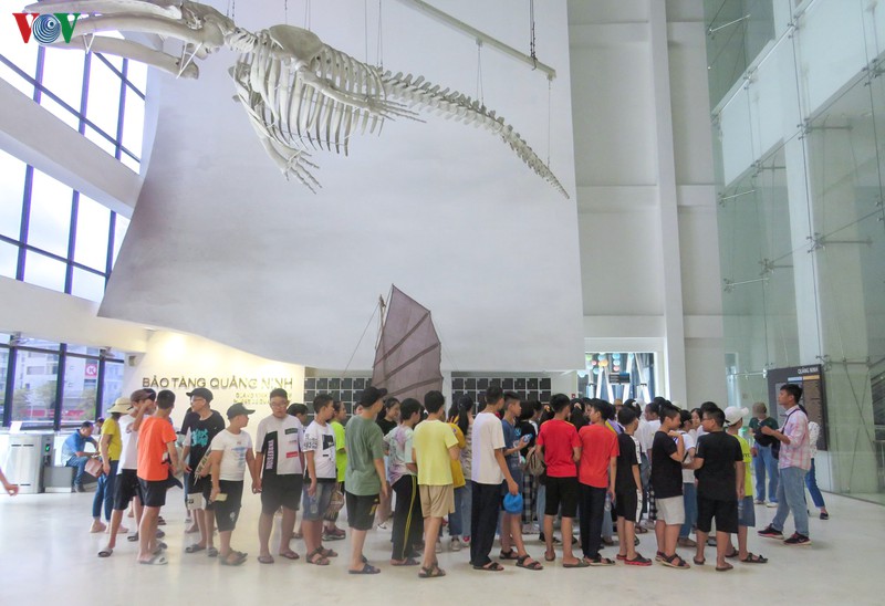 quang ninh don nhan nhung tin hieu vui sau kich cau du lich hinh 4