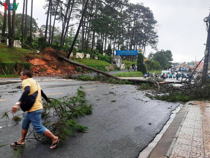 da lat di doi nhieu du khach va nguoi dan khoi vung sat lo do mua lon hinh 1