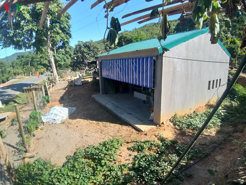 vu chuong bo "hang sang": tung dua nham 231 nguoi vao de an tram ty hinh 1