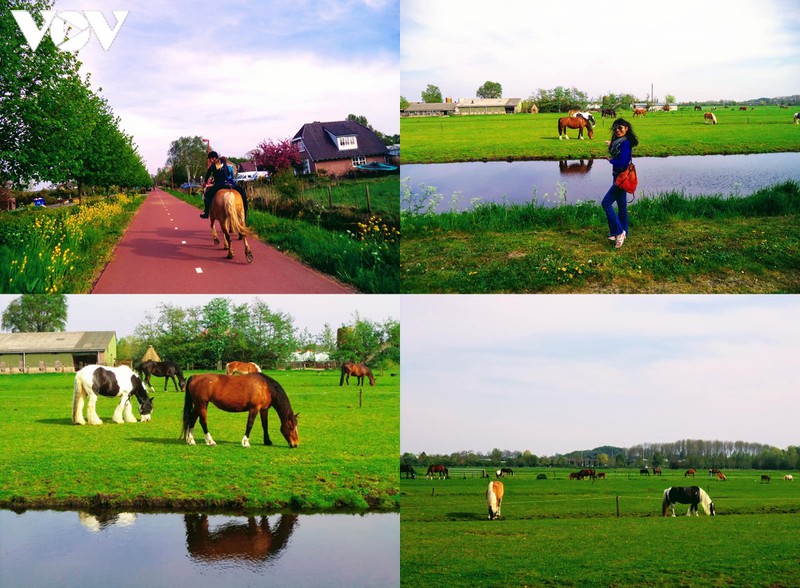 tan huong ve dep co kinh, tho mong o utrecht (ha lan) hinh 11