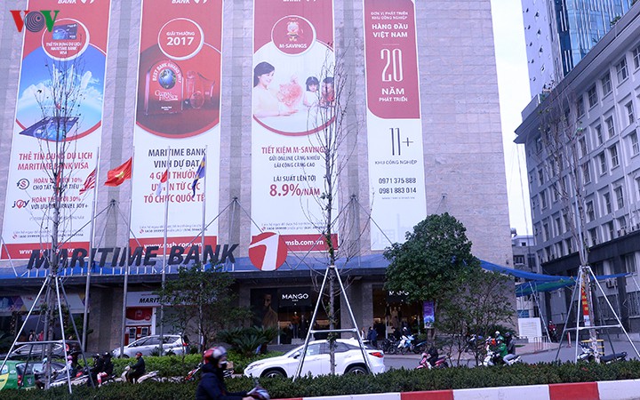 hang cay phong o ha noi tro canh, kho heo ngay dau mua dong hinh 18