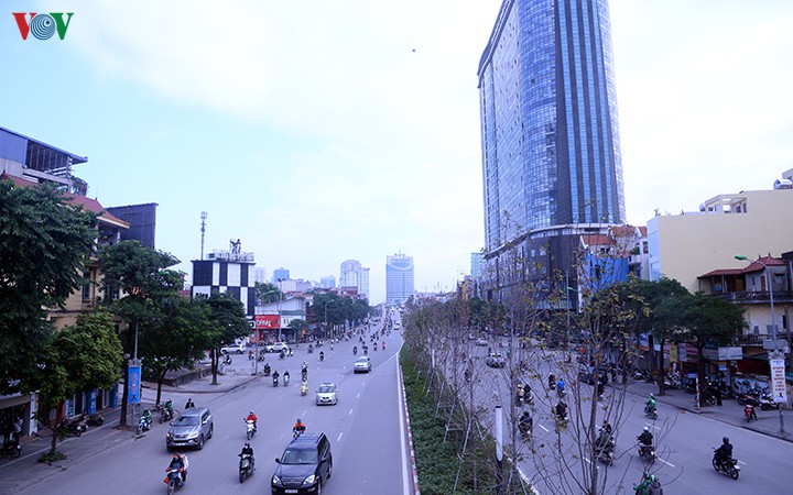hang cay phong o ha noi tro canh, kho heo ngay dau mua dong hinh 1