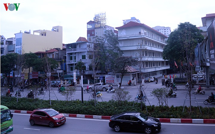 hang cay phong o ha noi tro canh, kho heo ngay dau mua dong hinh 16