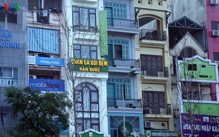 hang cay phong o ha noi tro canh, kho heo ngay dau mua dong hinh 17