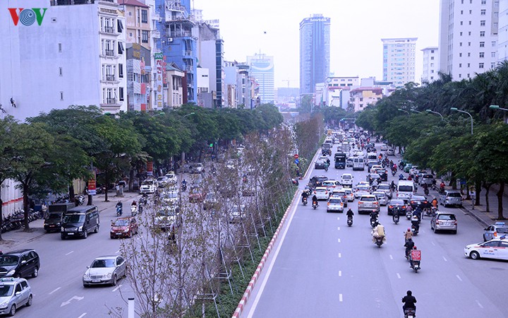hang cay phong o ha noi tro canh, kho heo ngay dau mua dong hinh 7