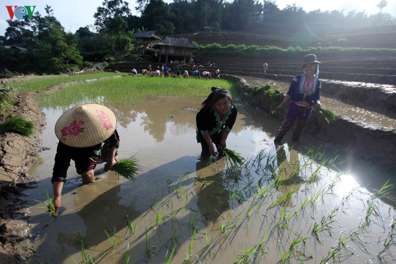 anh: mua nuoc do lai chau lam sieu long du khach hinh 6