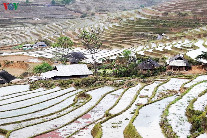 anh: mua nuoc do lai chau lam sieu long du khach hinh 8