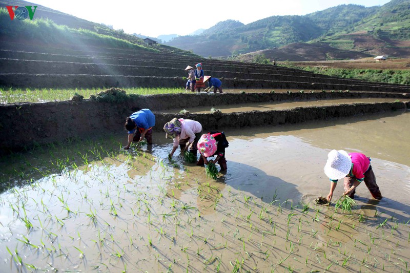 anh: mua nuoc do lai chau lam sieu long du khach hinh 9
