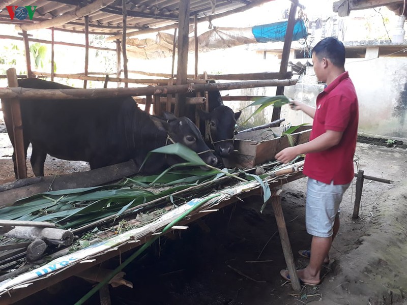 xuan tren que moi tai dinh cu long muong hinh 3