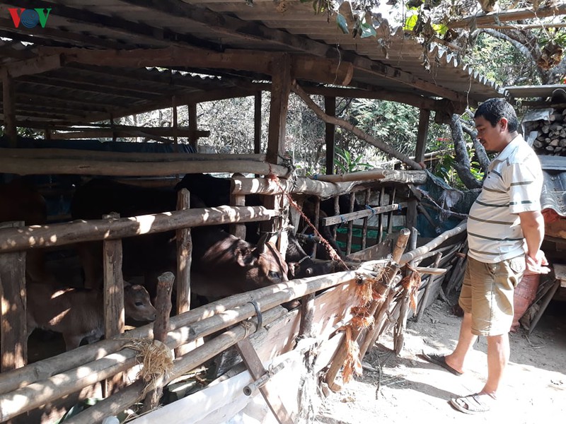 xuan tren que moi tai dinh cu long muong hinh 2