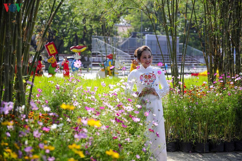 ruc ro duong hoa ven song huong hinh 10
