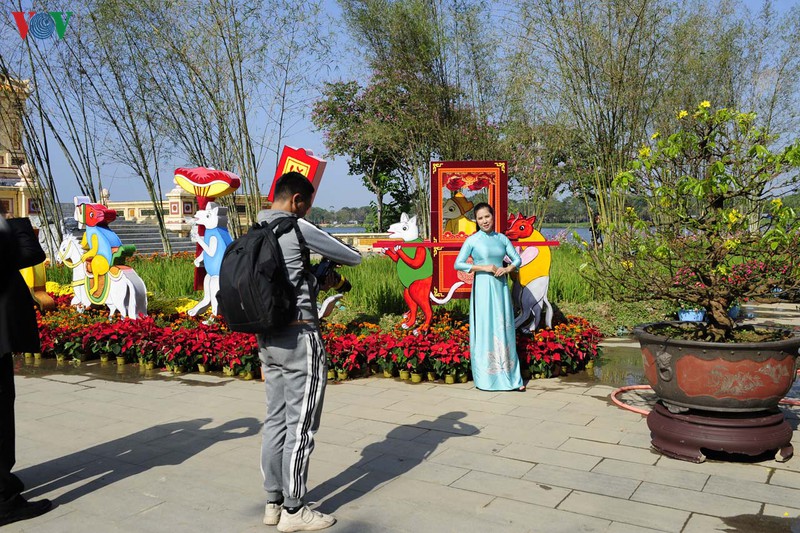 ruc ro duong hoa ven song huong hinh 4