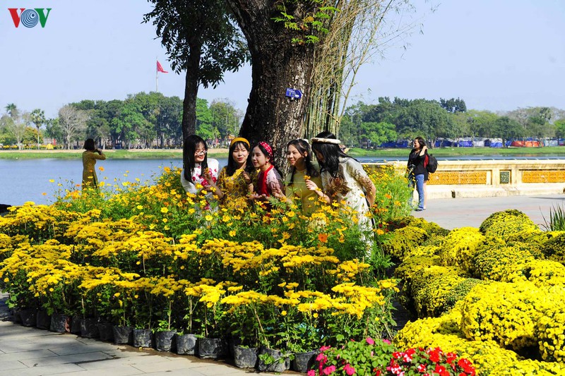 ruc ro duong hoa ven song huong hinh 6