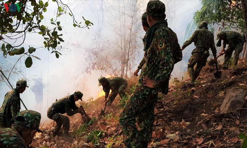 chay rung tai khu vuc nui cam - an giang hinh 1