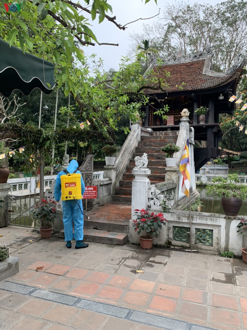 can canh: ca basa, rau qua duoc chuyen den khu cach ly tai benh vien hinh 11