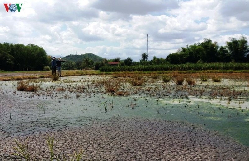 song cai o nhiem, uy hiep nguon nuoc sinh hoat o khanh hoa hinh 2