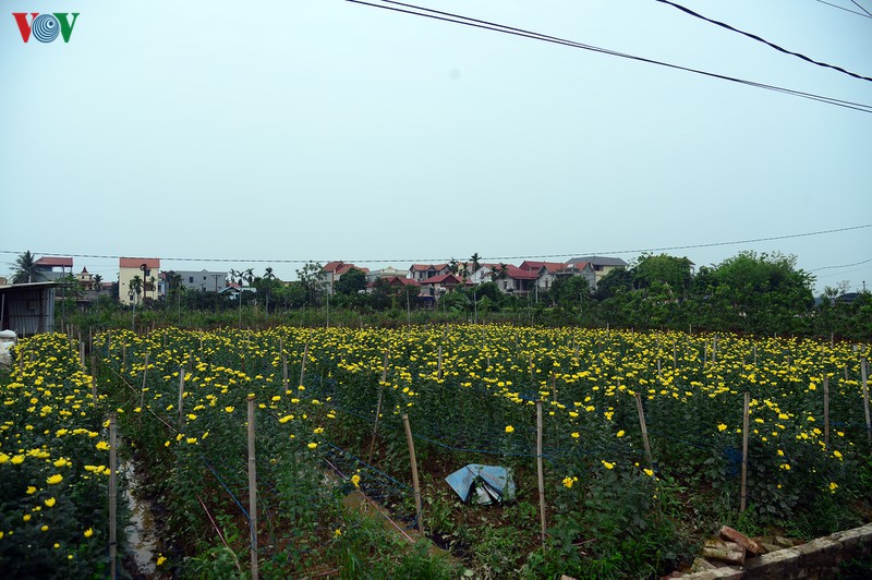 nguoi dan ha loi ua nuoc mat nhin tien bac, cong suc tan theo canh hoa hinh 4