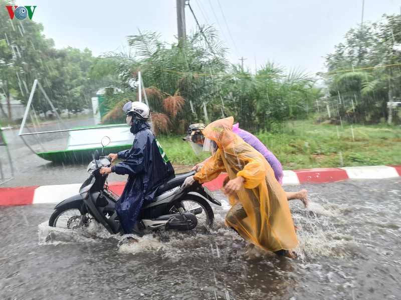 tinh nguyen vien can tho "doi mua" lam nhiem vu tai chot kiem dich hinh 1