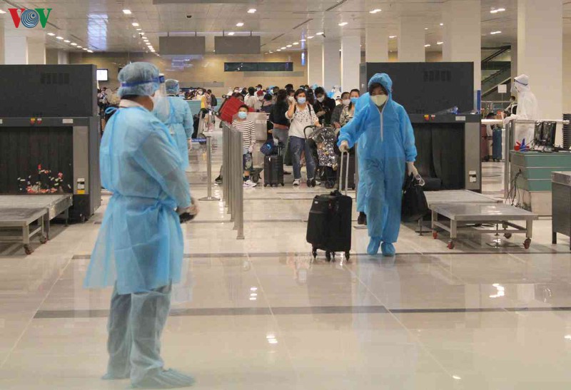 can canh qua trinh don 297 cong dan viet nam tu uae ve nuoc hinh 1