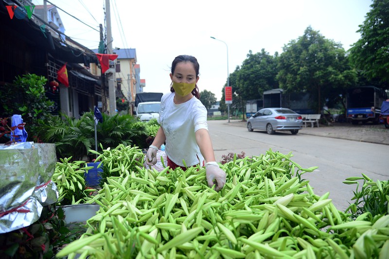 nguoi dan thon ha loi gom hoa mau, cho thoi khac do bo cach ly hinh 1