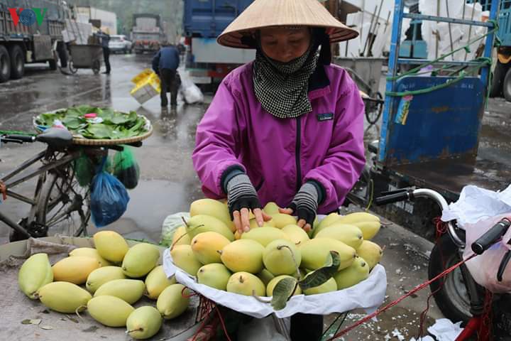 vuong mac trong ra soat lao dong o hai phong theo nq42 cua chinh phu  hinh 2