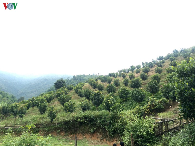 gan 27.000 lao dong o son la ra tinh ngoai lam thue hinh 1