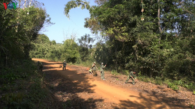 khong de "giac lua" tan cong vuon quoc gia bu gia map hinh 1