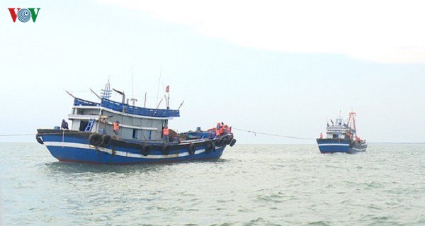 thua thien hue xu ly nghiem nan gia cao khai thac gan bo hinh 2