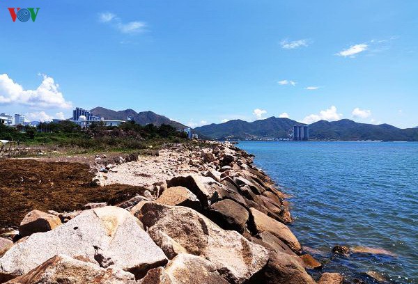 khanh hoa thu hoi du an lan bien lam cong vien cong cong hinh 1