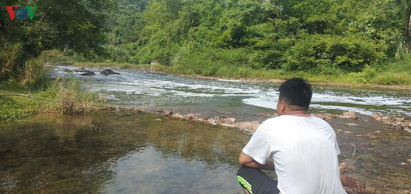 dong song pho day tiep tuc xuat hien dau hieu o nhiem hinh 2