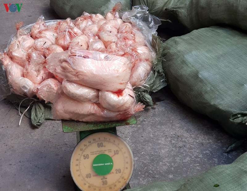 phat hien 1,7 tan thit vit khong ro nguon goc trong ham xe khach hinh 1