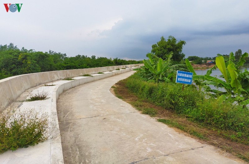 quang ninh day nhanh tien do cong trinh phong chong thien tai  hinh 3