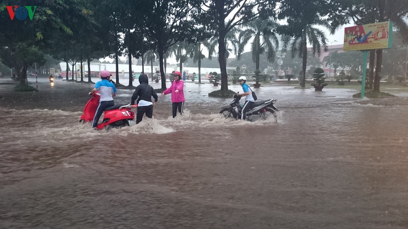 he thong thoat nuoc qua tai, duong pho buon ma thuot mua to la ngap hinh 2