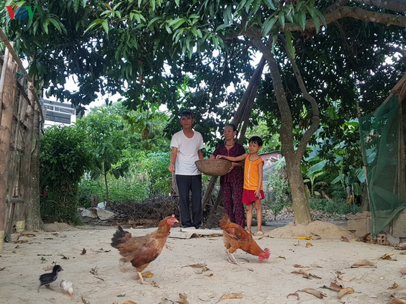 bai 1: khat vong hoa binh trong khoi lua chien tranh hinh 3