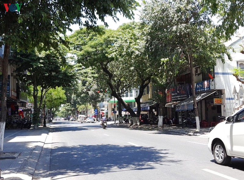 nguoi dan da nang chu dong, binh tinh phong dich hinh 3