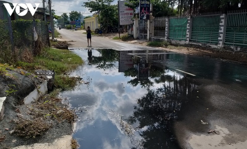 hang tram ho dan song chung voi mui hoi thoi o ba ria– vung tau hinh 1