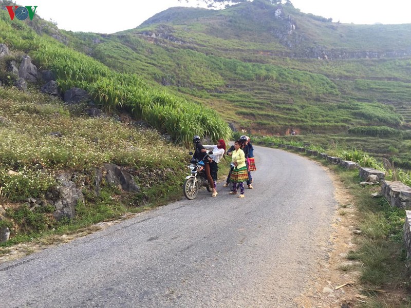 cho phien meo vac, den de thay minh con "ngo" hinh 1