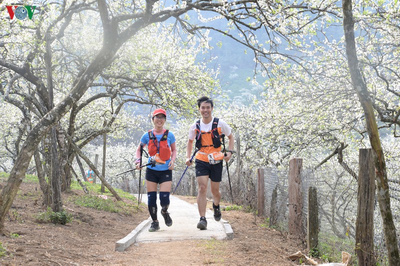 gan 3.100 van dong vien tranh tai o giai chay vtm - moc chau hinh 14