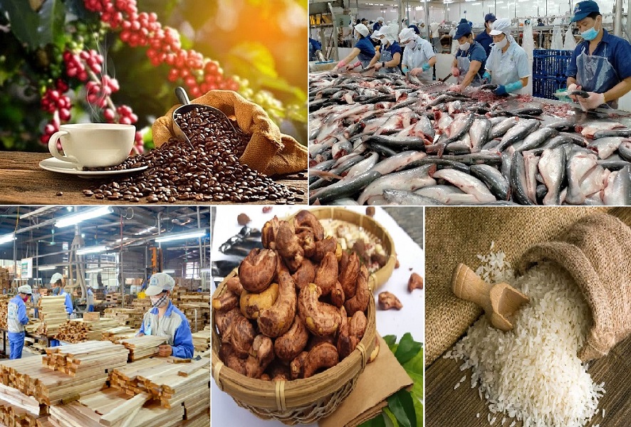 Xuất khẩu nông lâm thủy sản đạt 56,3 tỷ USD sau 9 tháng - Cổng thông tin đài tiếng nói Việt Nam