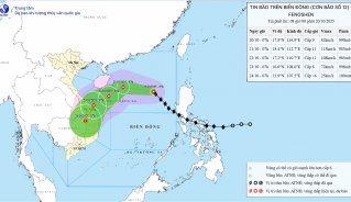 Hướng di chuyển của bão số 12 - bão Fengshen. Ảnh: nchmf.