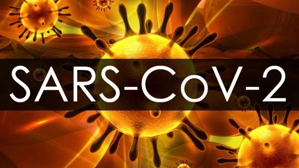 virus sars-cov-2 -Medscape.jpg