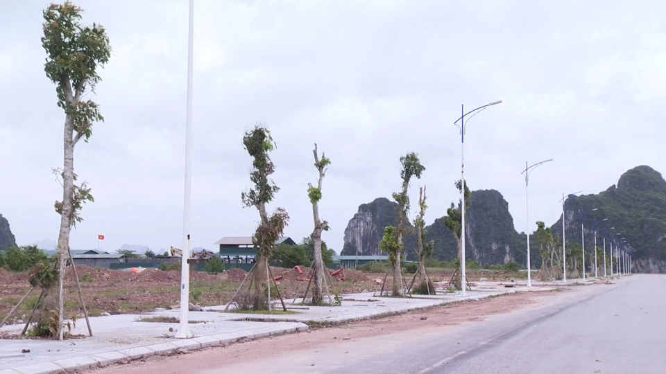 anh_ha_tang_2.jpg