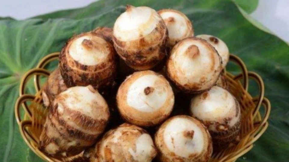 tac_dung_cua_khoai_so.jpg