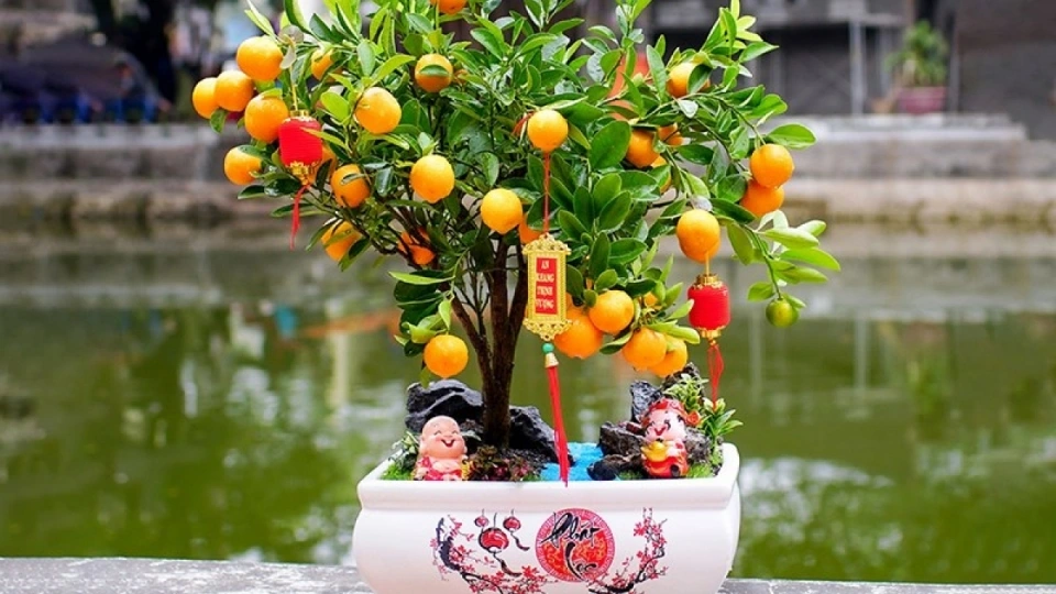 tet-tang-qua-quat.jpg