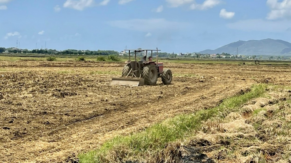 Co gioi hoa .jpg