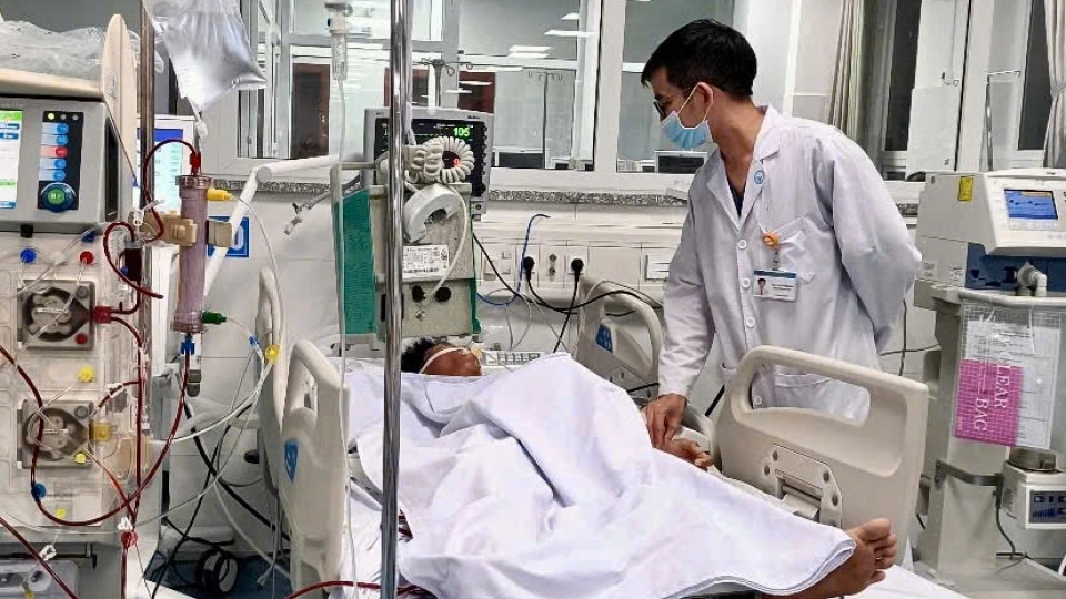 Ngo doc banh canh .jpg