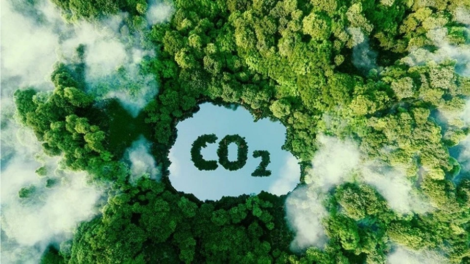 carbon.png