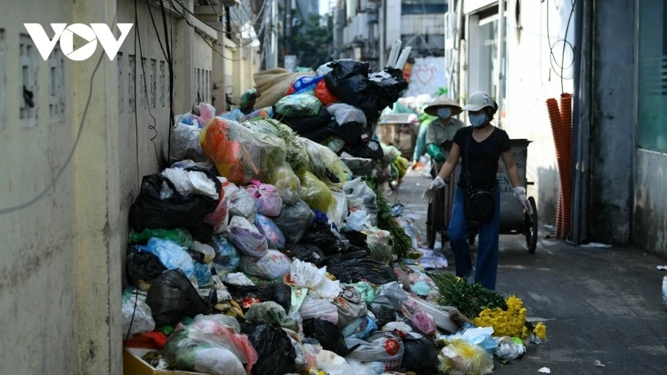 e1.jpg