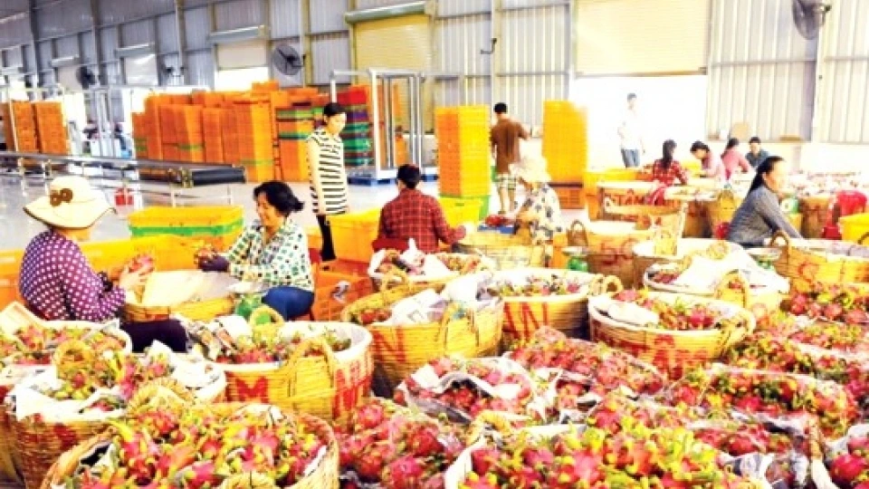 xuat_khau_rau_qua_huong_den_8_ty_do_la_my_20250112102704.jpg