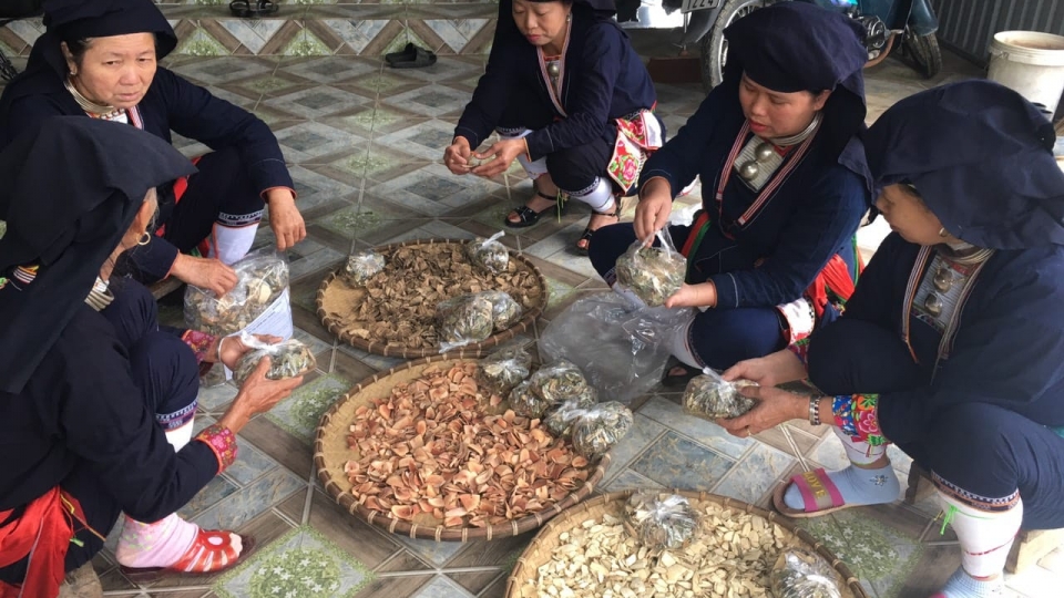 ba_con_nguoi_dao_quan_chet_truyen_cho_nhau_nghe_boc_thuoc_nam.jpg